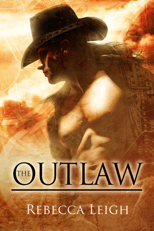 Book cover of The Outlaw