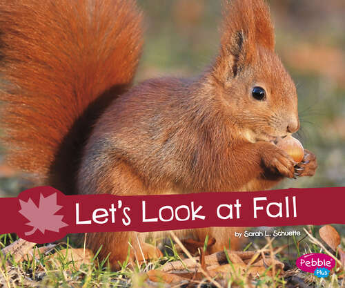 Book cover of Let’s Look at Fall: A 4d Book (Investigate The Seasons Ser.)