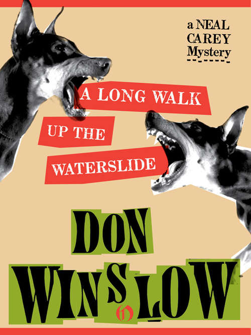 Book cover of A Long Walk Up the Waterslide