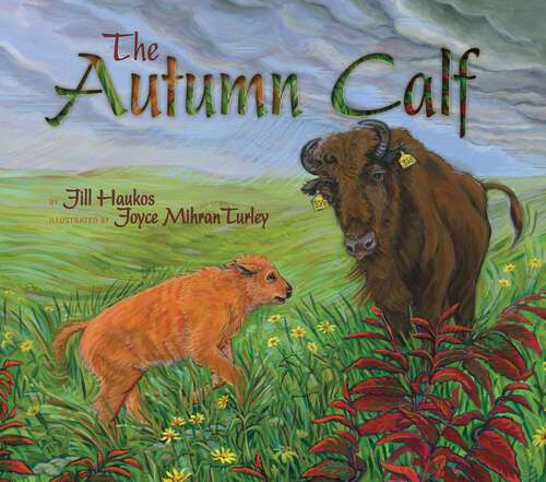 Book cover of The Autumn Calf