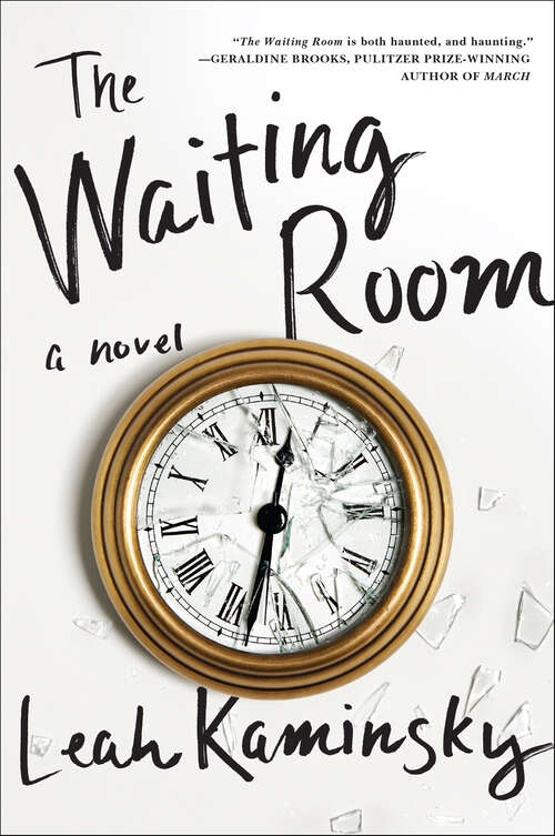 Book cover of The Waiting Room: A Novel