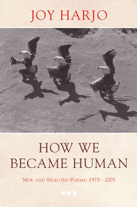 Book cover of How We Became Human: New and Selected Poems 1975-2002
