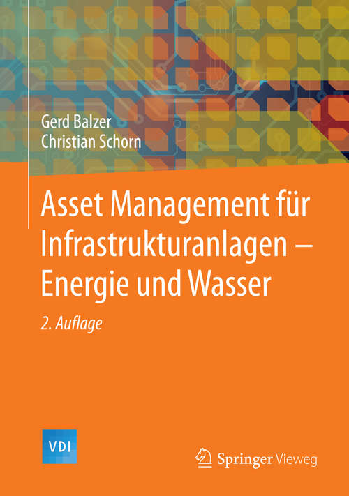 Asset Management für Infrastrukturanlagen - Energie und Wasser (VDI-Buch)