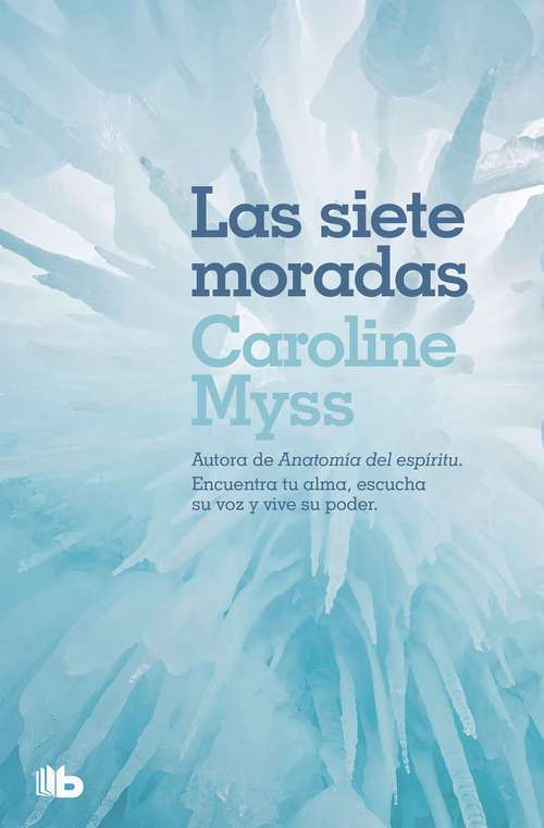 Book cover of Las siete moradas
