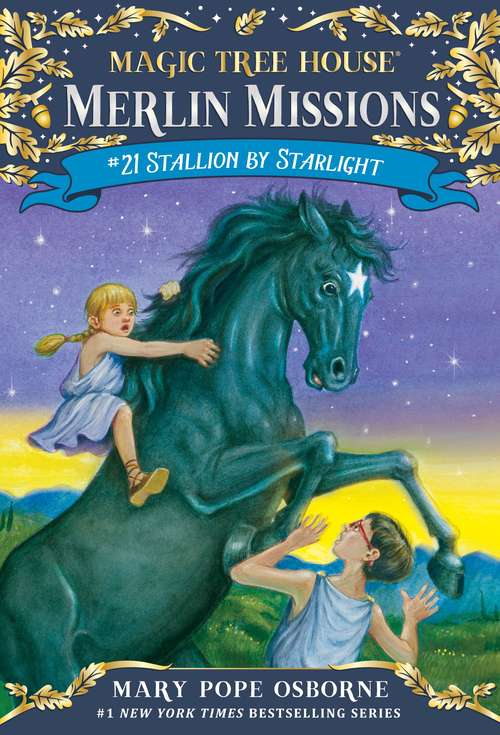 Book cover of Stallion by Starlight