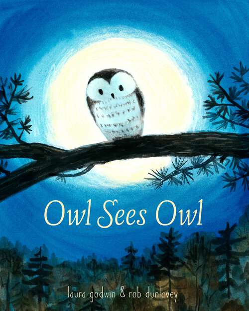 Book cover of Owl Sees Owl