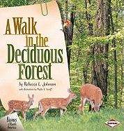 A Walk In The Deciduous Forest