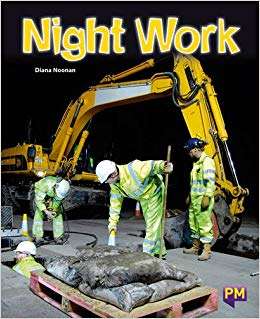 Book cover of Night Work (Into Reading, Level J #84)