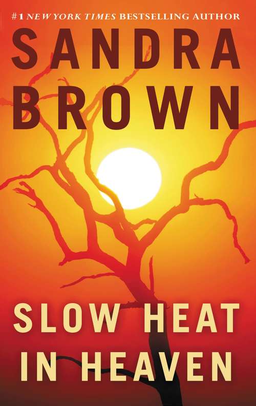 Book cover of Slow Heat in Heaven