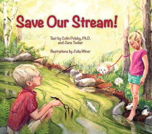 Book cover of Save Our Stream