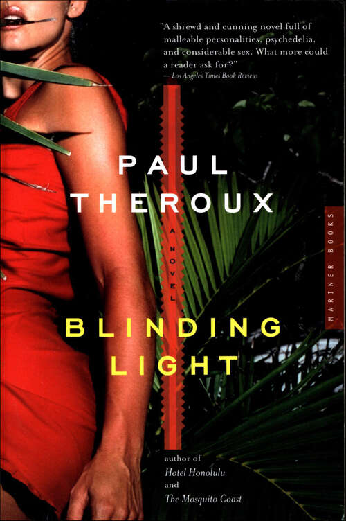 Book cover of Blinding Light: A Novel