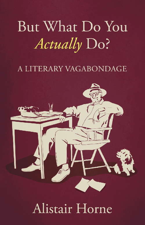 Book cover of But What Do You Actually Do?