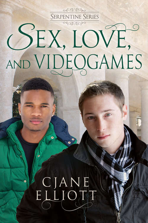 Book cover of Sex, Love, and Videogames (The Serpentine)