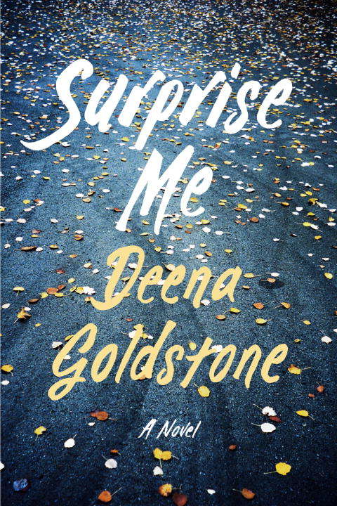 Book cover of Surprise Me: A Novel