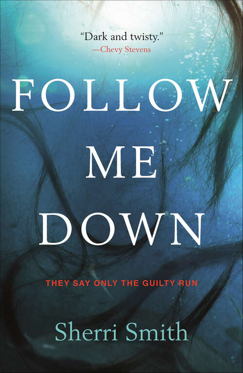 Book cover of Follow Me Down: A Novel