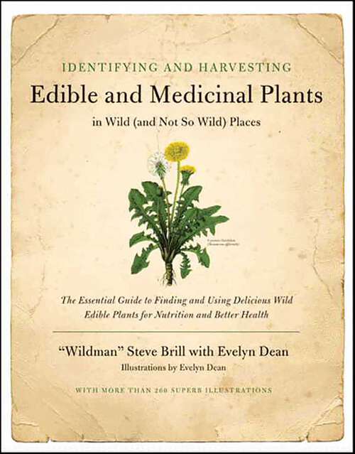 Book cover of Identifying & Harvesting Edible and Medicinal Plants