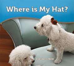 Book cover of Where is My Hat? (Bella and Rosie: Blue Set)