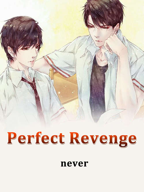 Book cover of Perfect Revenge: Volume 1 (Volume 1 #1)