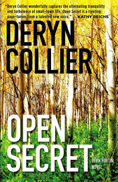 Book cover of Open Secret (Bern Fortin #2)