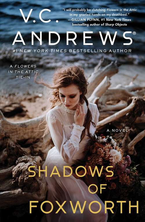 Book cover of Shadows of Foxworth (Dollanganger #11)