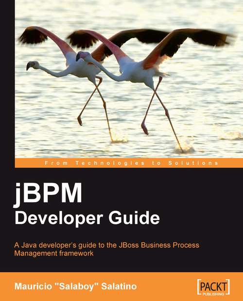Book cover of jBPM Developer Guide
