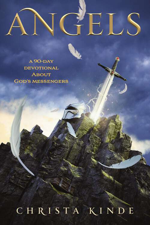 Book cover of Angels: A 90-Day Devotional