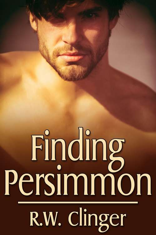 Book cover of Finding Persimmon