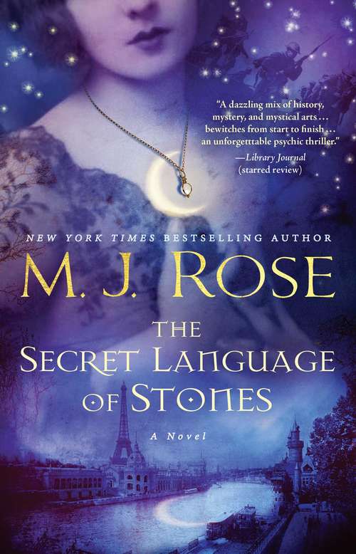 Book cover of The Secret Language of Stones: A Novel