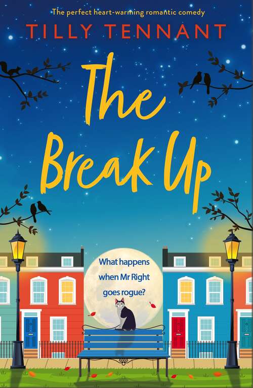 Book cover of The Break Up: The perfect heartwarming romantic comedy