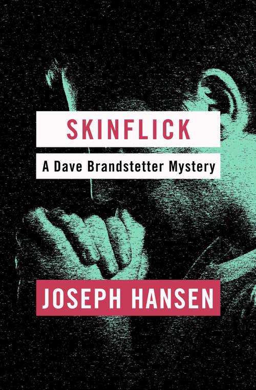 Skinflick (Dave Brandstetter #5)