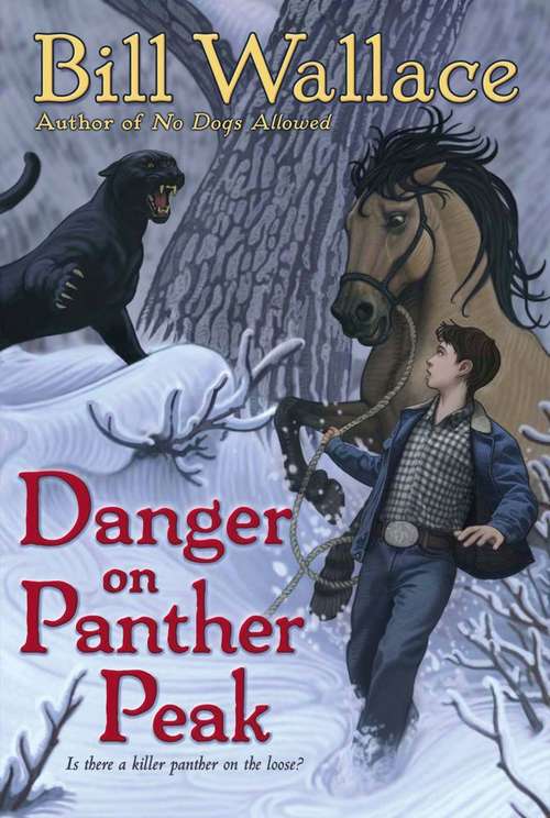 Danger on Panther Peak