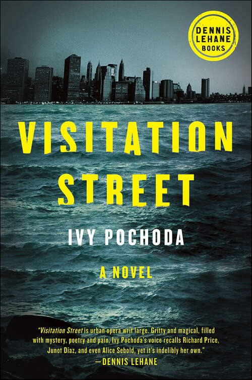 Book cover of Visitation Street