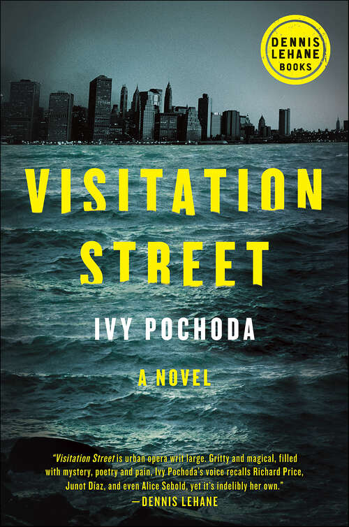Book cover of Visitation Street: A Novel