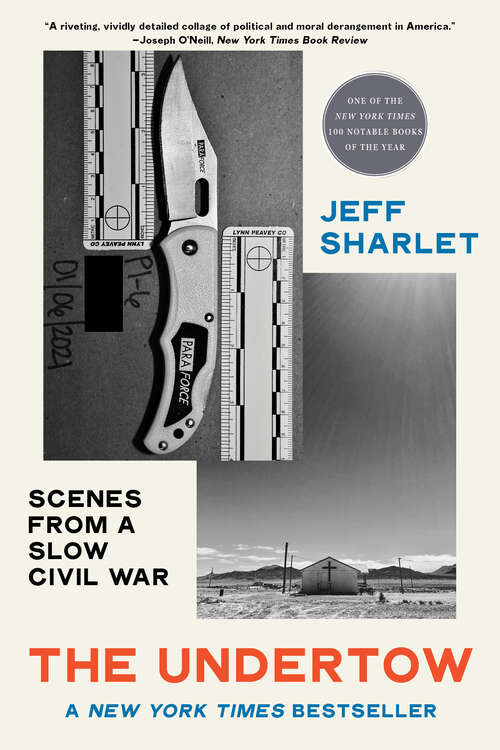 Book cover of The Undertow: Scenes From A Slow Civil War