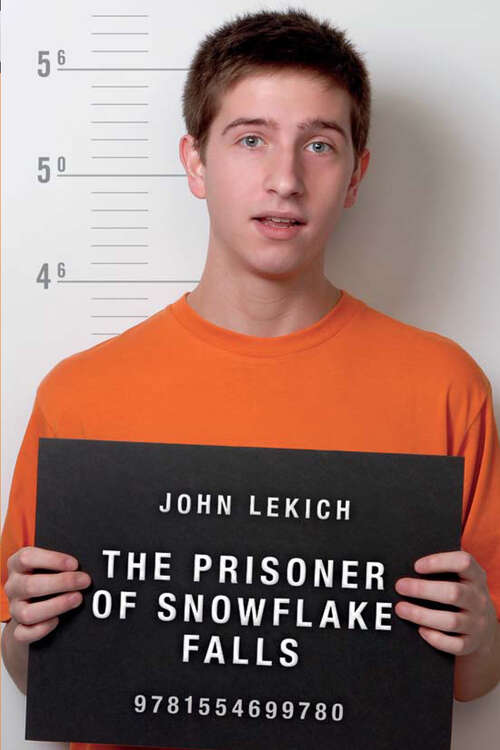 Book cover of The Prisoner of Snowflake Falls