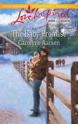 The Baby Promise (Home on the Ranch #1)