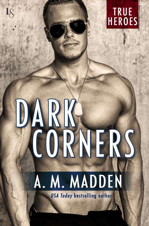 Book cover of Dark Corners: A True Heroes Novel