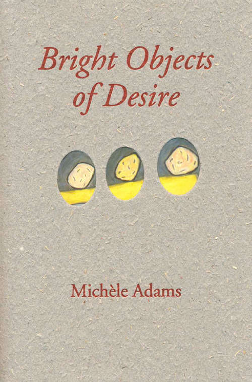 Book cover of Bright Object of Desire