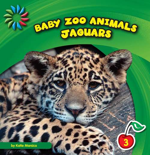 Jaguars (Baby Zoo Animals)