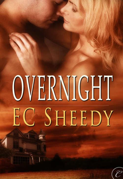 Book cover of Overnight