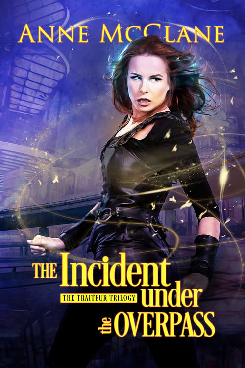 Book cover of The Incident Under the Overpass