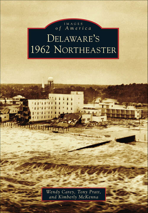 Book cover of Delaware's 1962 Northeaster (Images of America)
