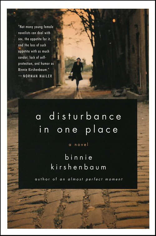 Book cover of A Disturbance in One Place: A Novel
