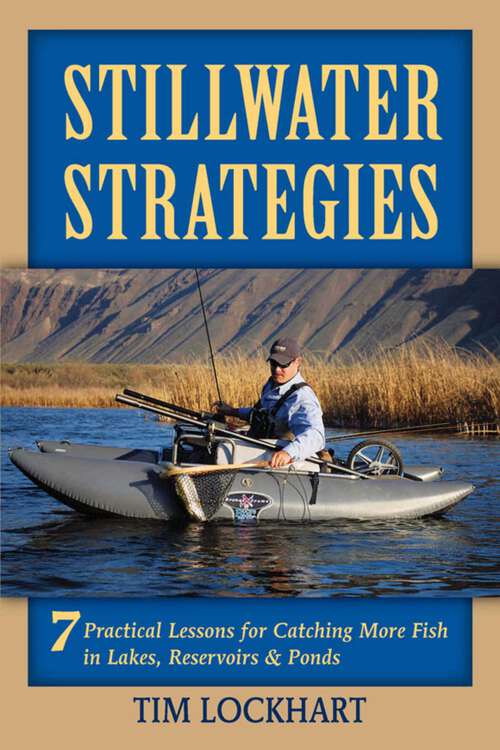 Book cover of Stillwater Strategies