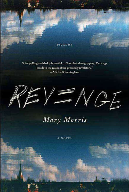 Book cover of Revenge: A Novel
