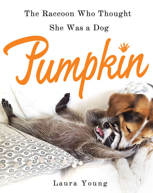 Book cover of Pumpkin: The Raccoon Who Thought She Was a Dog