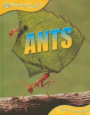 Ants (Animal Lives Series)