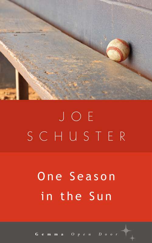 Book cover of One Season in the Sun (Gemma Open Door)