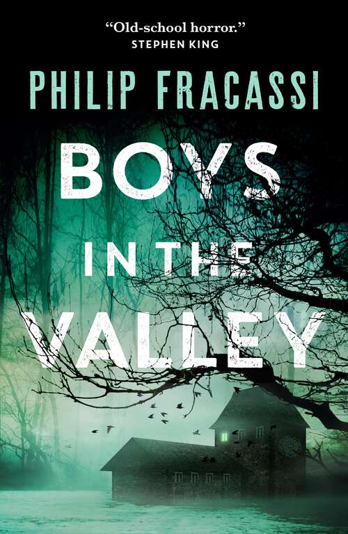 Book cover of Boys in the Valley