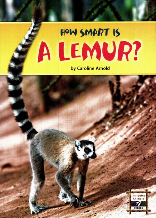 Book cover of How Smart is a Lemur (Fountas & Pinnell LLI Purple: Level S)
